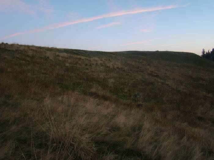 DSC00442