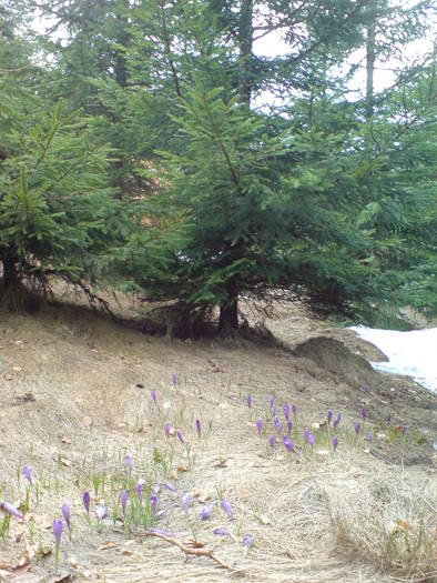 DSC01194