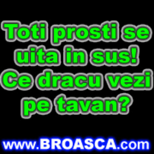 toti%20prostii%20se%20uita%20in%20sus%20ce%20dracu%20vezi%20pe%20tavan[1] - poze pentru mess