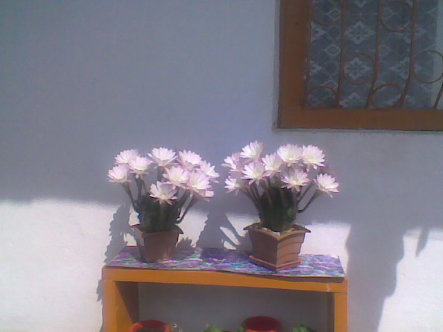 Imag057
