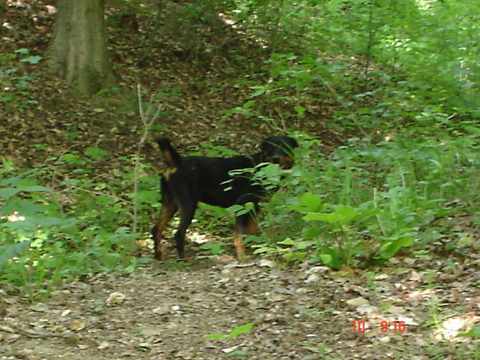 DSC04871 - BELLA poze noi