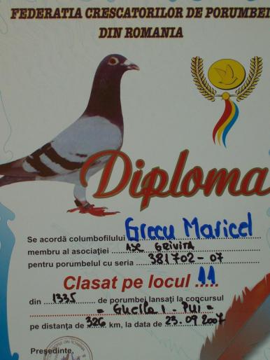 100_2881 - rezultate