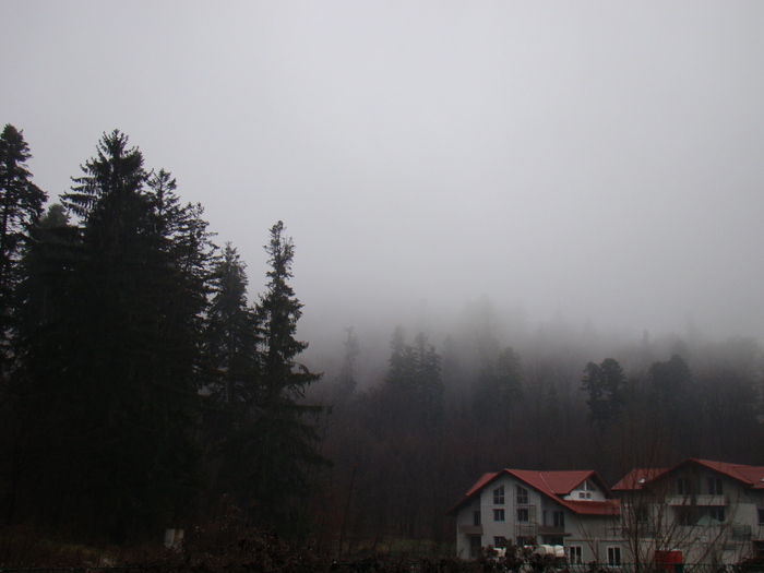 DSC00939