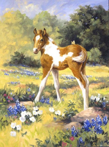 Paint Colt and Butterfly_jpg