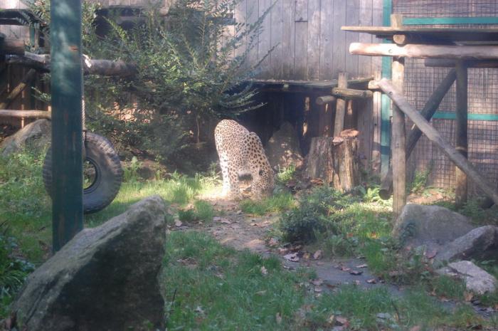 DSC_0067 - zoo amneville
