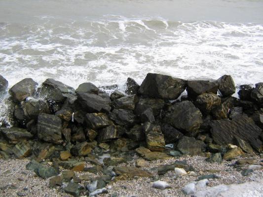 IMG_0109 - BlacKandWhitE SeA