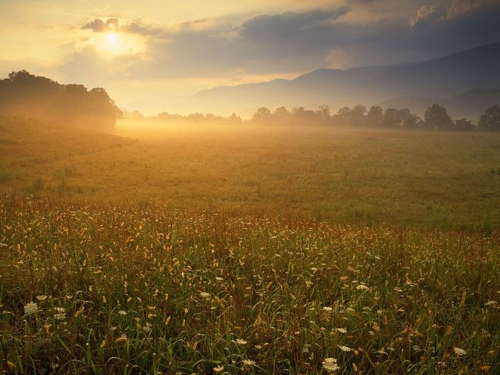 Cades Cove Sunrise, Great Smoky Mountains National Park, Tennessee - Wallpapers Premium