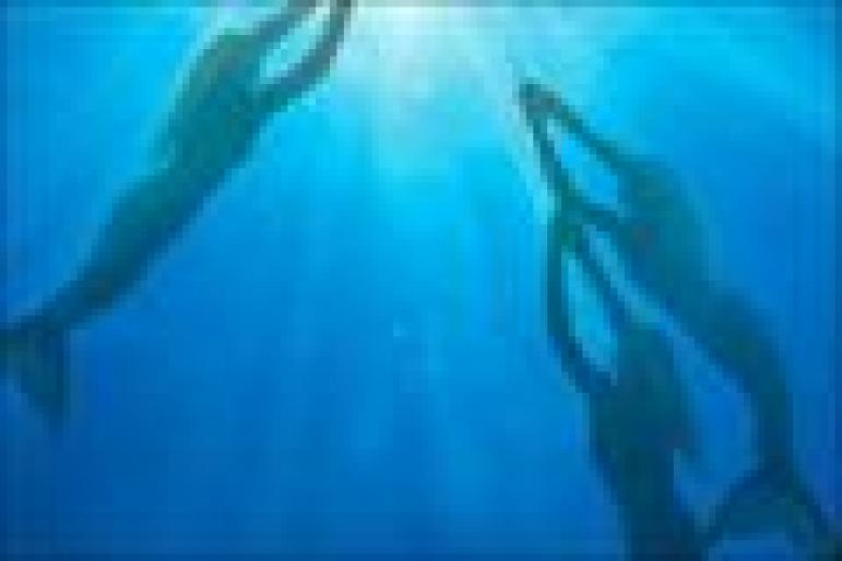 ai213059n683525 - MA NUMESC CARIDA HEINE DIN H2O H2O