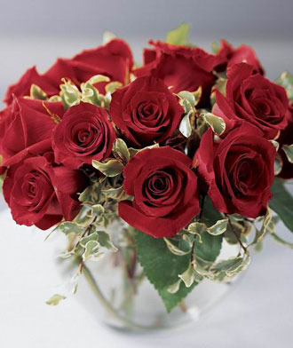 buchet_trandafiri_simplu - trandafiri frumosi