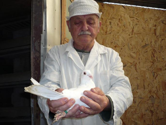 dl. prof. stelian jean