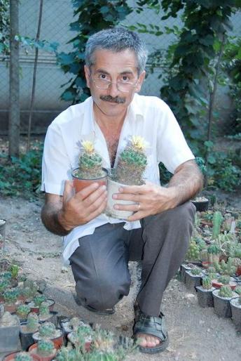 August 2008 - Printre cactusi