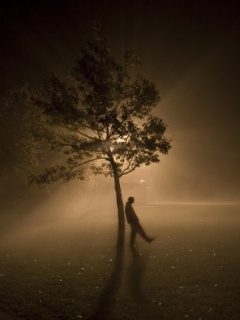 31045546 - Mobile Wallpapers