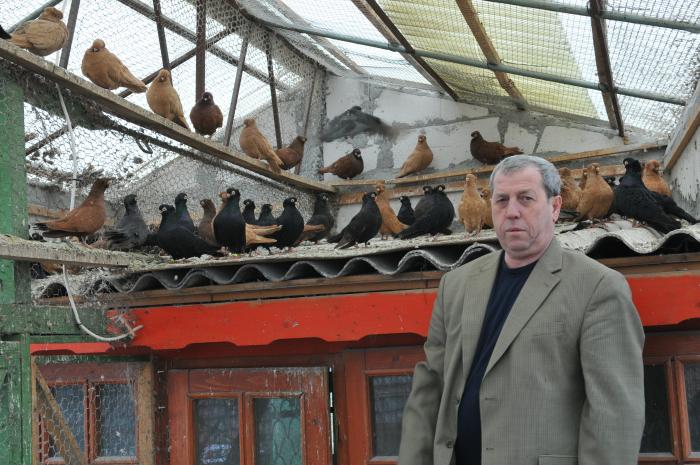 Picture 147 - jucatori de constanta