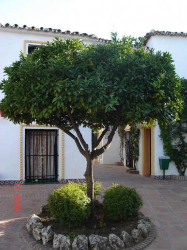 36 Hotel Pueblo Andaluz - Pueblo Andaluz