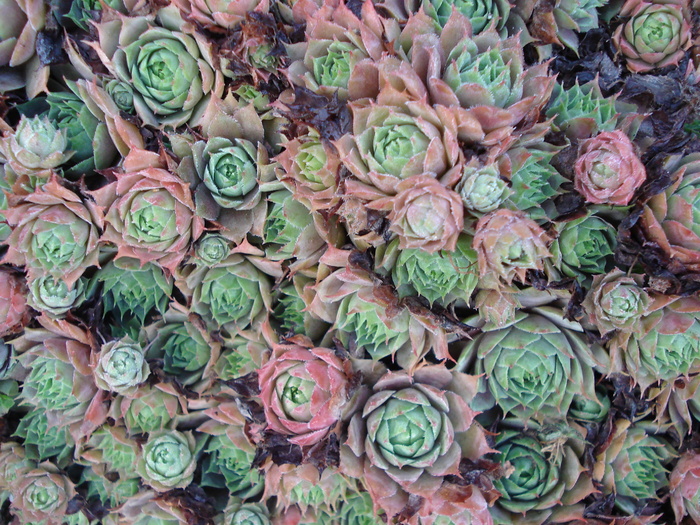 196
