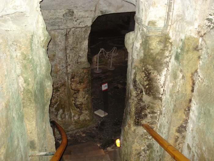 DSC04476
