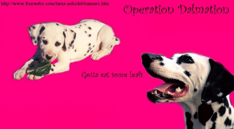 oPERATION%20dALMATION[1] - catei