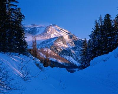 snow-in-the-shadow-wallpapers_12421_1024x768