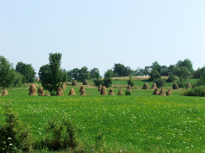 DSCF2224 - peisaje_Bucovina