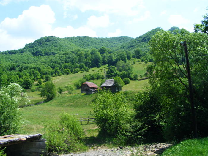 DSCF0977