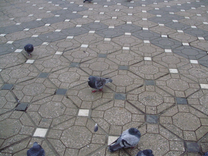 P9040123 - 18g Timisoara