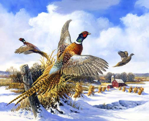 Pheasant and Red Barn_jpg