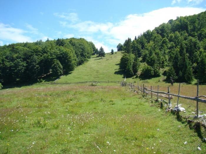 DSC02093 - Concediu 2008