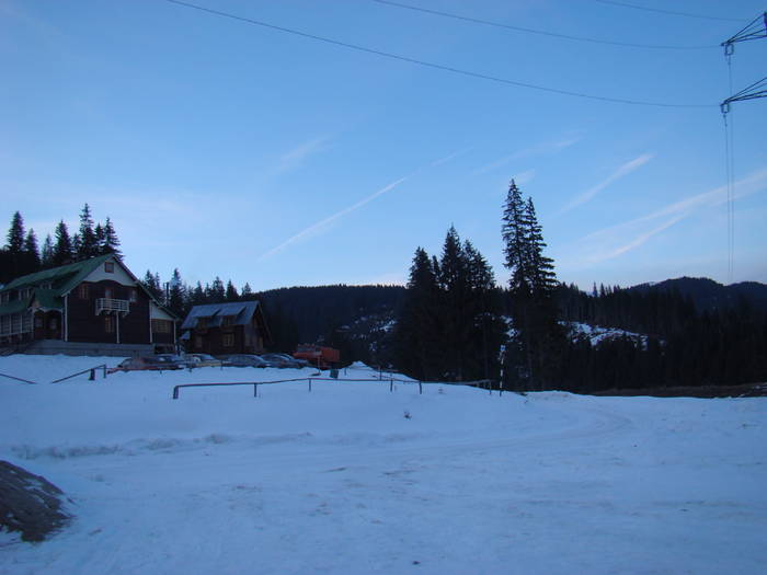 DSC01210 - Bucegi - Valea Izvorul Dorului-Padina