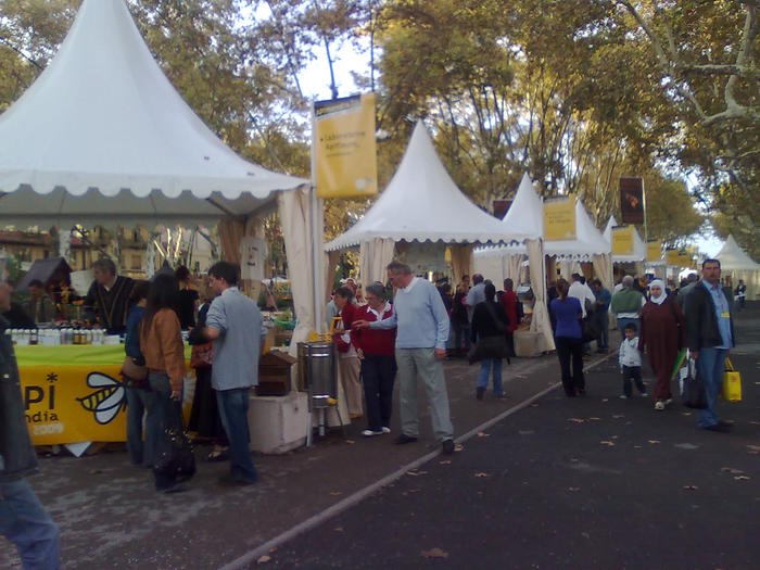 esplanada europa - ApiMondia