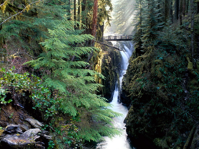 bridge_over_sol_duc_falls_olympic_national_park-normal - favorites