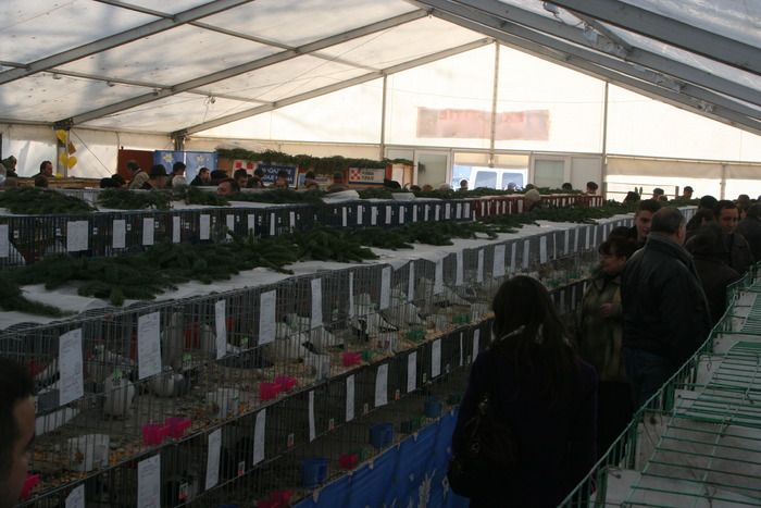 EXPO-PAS Suceava 2009