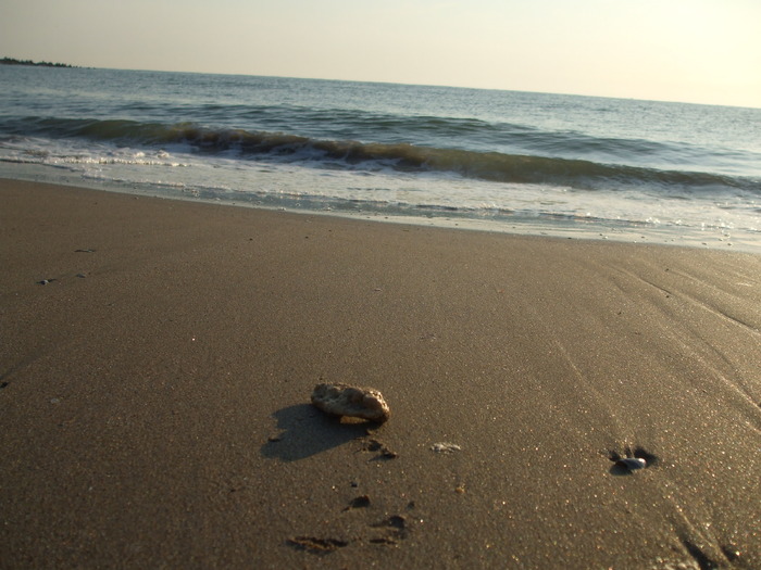 granita intre tarm si mare - La Marea Neagră