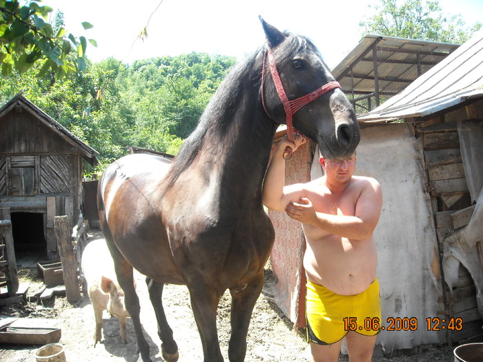 GYURI - Gyuri-calul meu-vandut