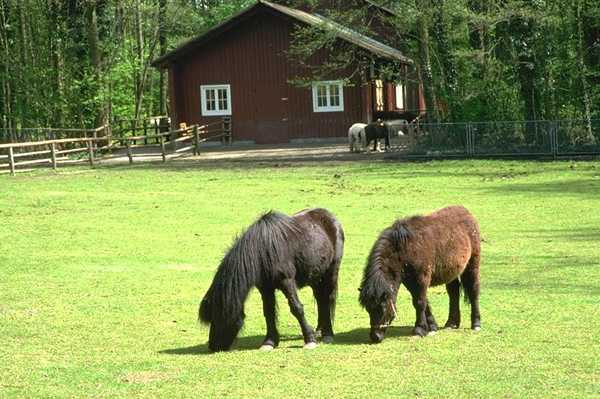 1442032L - Poze superbe