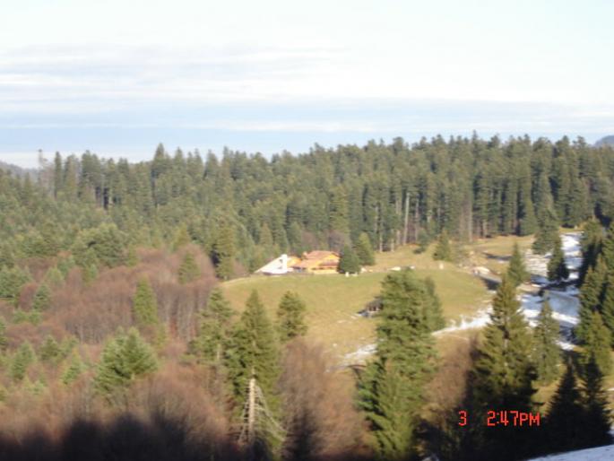 Picture 027