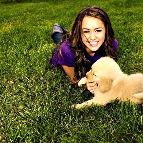 DUAXAGVNYBHFMITMAIQ - Miley Cyrus sh animalele