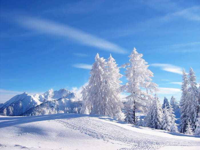 Peisaje de Iarna Landscape - Poze din natura