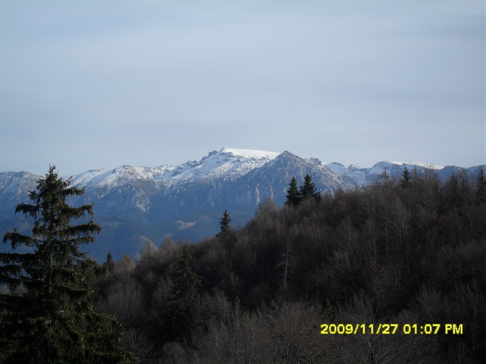 SDC10675; bucegi-vf omu
