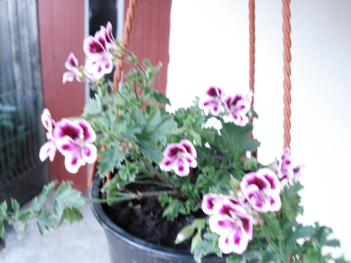 DSC09548