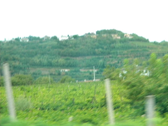 DSCN0499