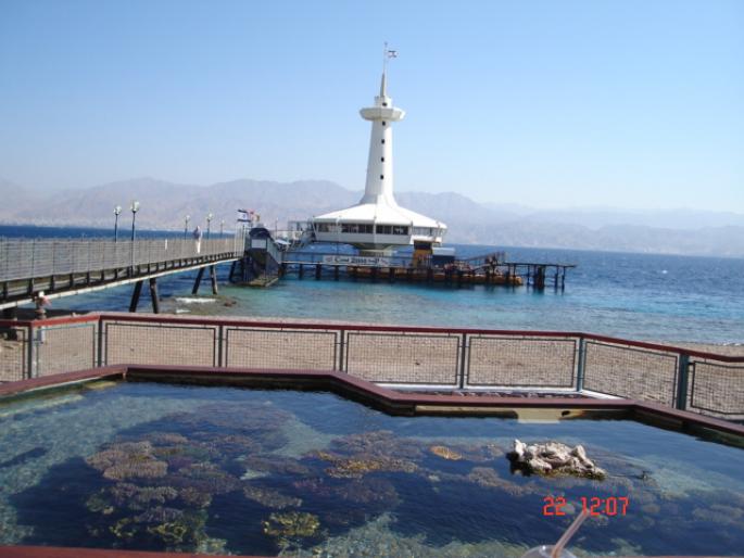 533 Israel - Eilat - The Observatory Marine Park - 2008 ISRAEL NOIEMBRIE