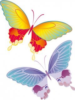 Butterfliesww