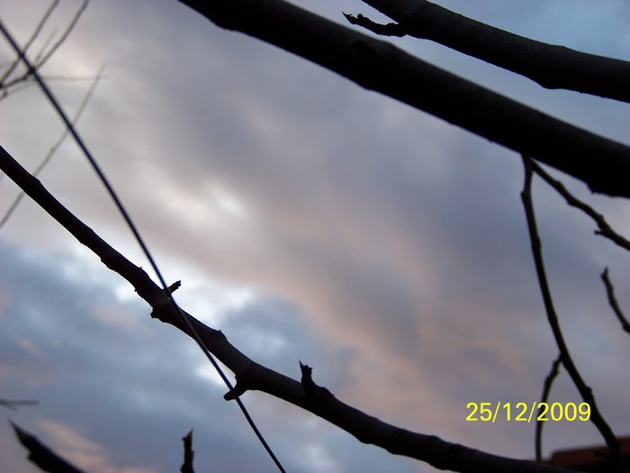 100_7876 - Sfarsit de decembrie 2009