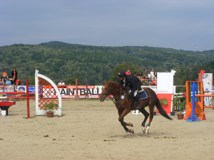 Picture 101 - sept 2009