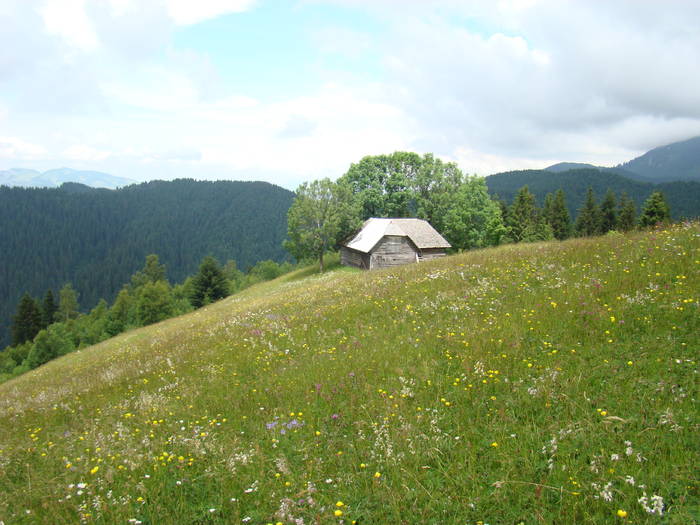 DSC03906 - Concediu 2009