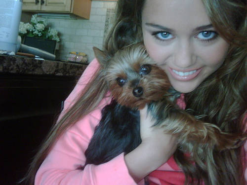 3426774941_f1a82702fa - Miley Cyrus and Dog