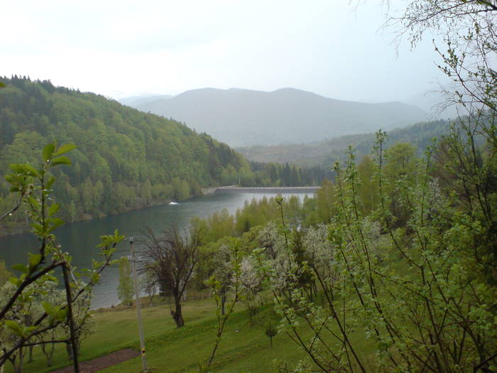 DSC01213; Barajul Valea de Pesti.
