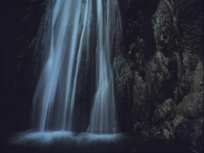NATURE11