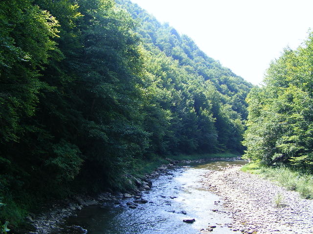 DSCF5320
