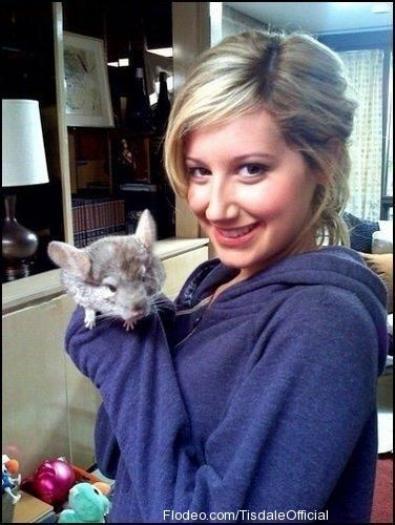 ENBSCVFFDIICKMNCJUW - ASHLEY TISDALE